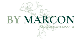 bym logo retravaillé (400 x 400 px) (400 x 200 px)