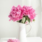 pink and white flowers in white ceramic vase