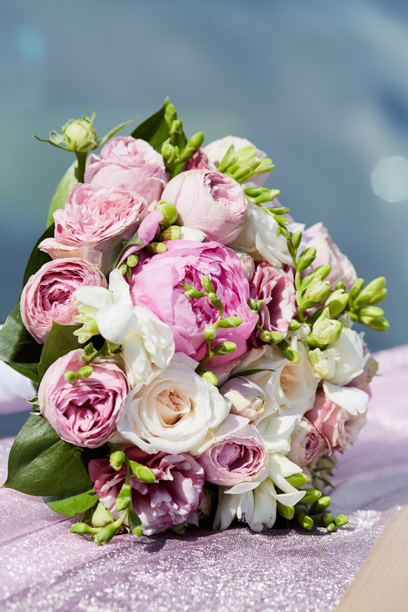 Accueil pink roses in close up photography